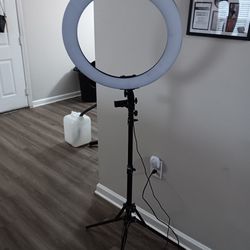 Selfish Light 19 Inches With Stand