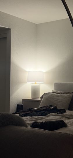 2 Bed Side Lamps For 30 Dollars Each
