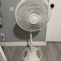 Free Fan 