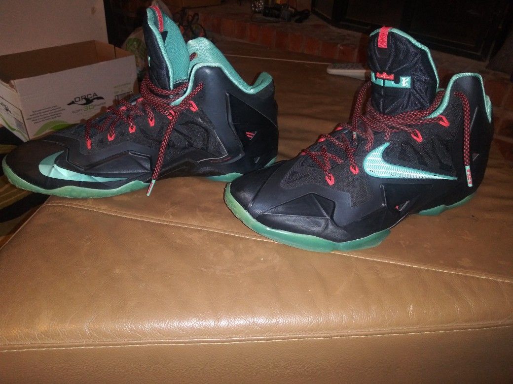 Lebron James Nike Men shoes size 12