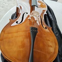 New 4/4 cello
