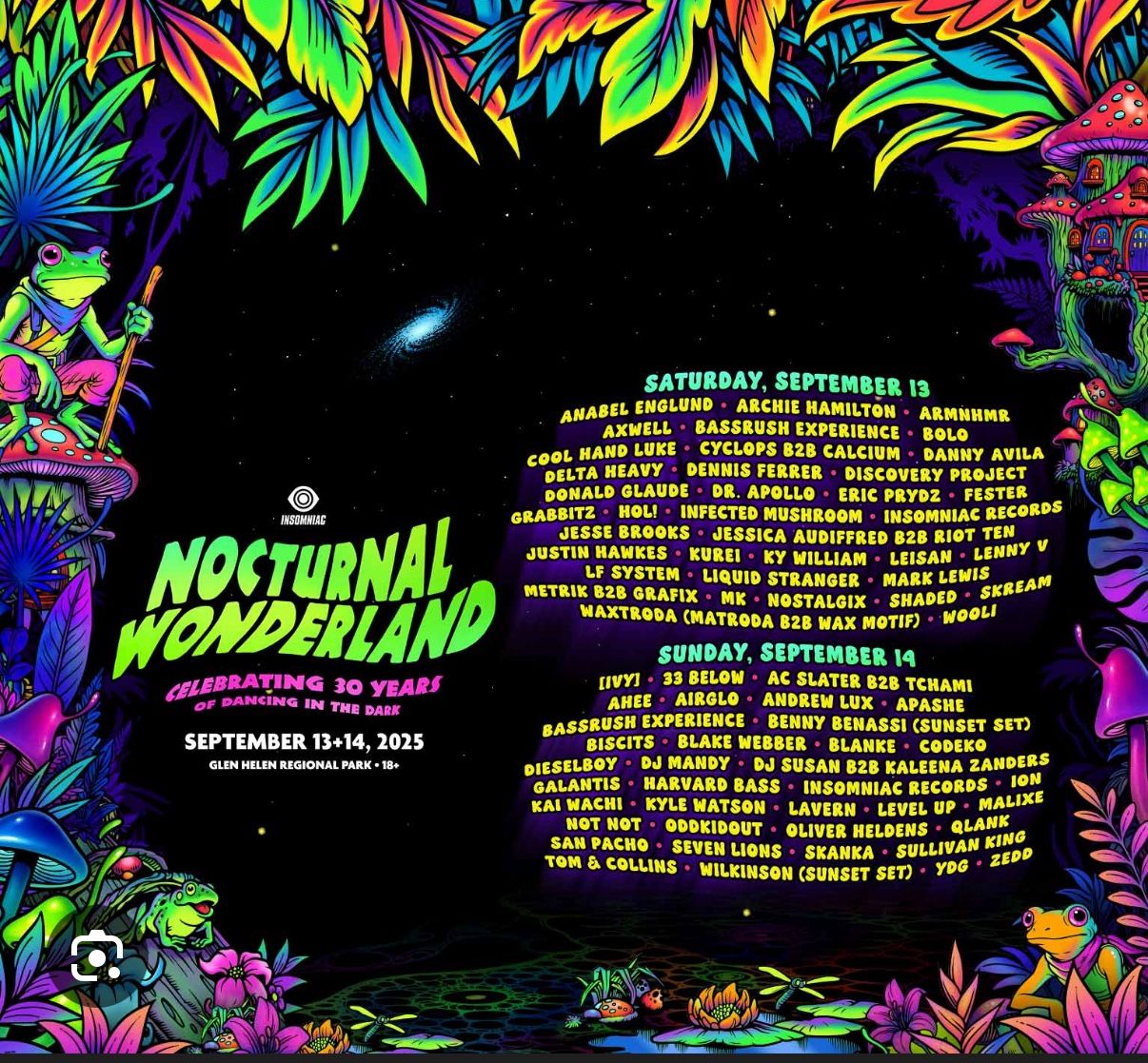Nocturnal Wonderland Sunday Wristbands