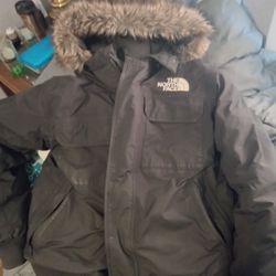 Northface Winter Coat