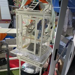 Bird Cage
