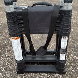 Xtend Climb Ladder A Frame 15.5 Fr