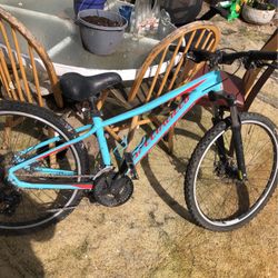 Specialized Pitch Bike 