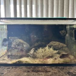 Nuvie Fusion Nano 25 Saltwater Fish Tank