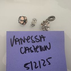 Pandora Charms