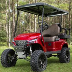 Gas Golf Cart Mechanic