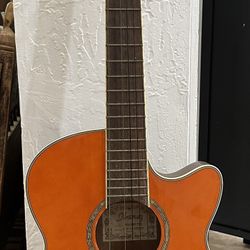 Ibanez Acoustic-electric Guitar 