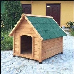 Dog House 