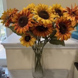 Bundle Of Sunflowers 