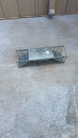 Squirrel rabbit trap