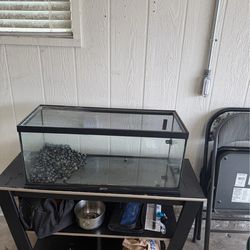 Reptile Aquarium Terrarium 20 Gallon