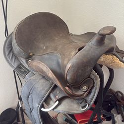Saddle 15 1/2in