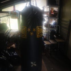 Heavy Bag With Gloves 