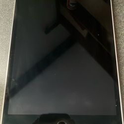Apple iPad Mini 4 (4th Gen)