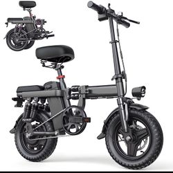 Electric Bike 