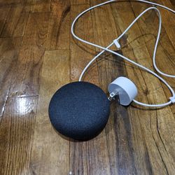 Google Speaker 