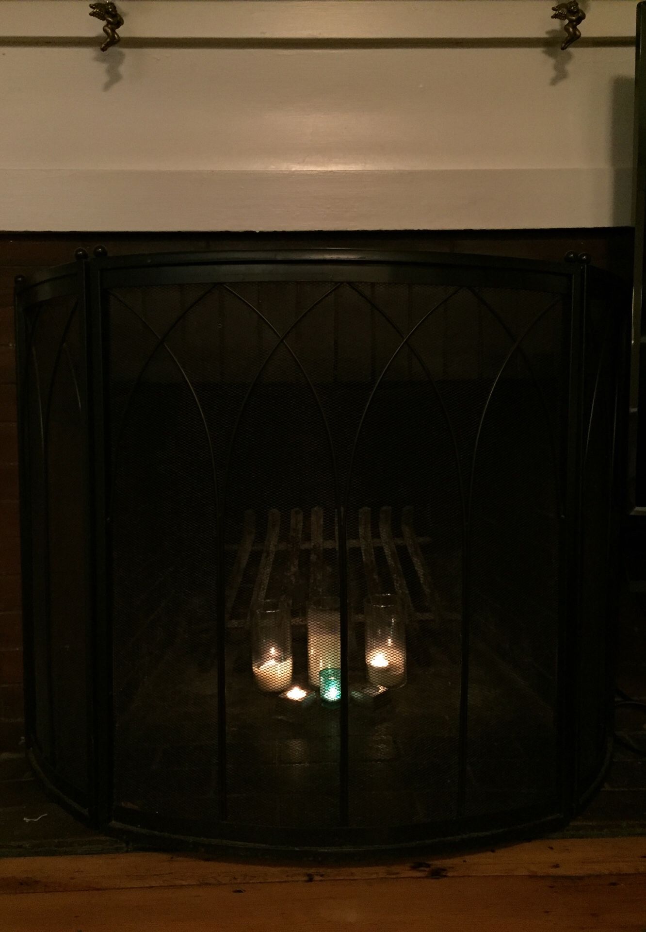 Fireplace Screen