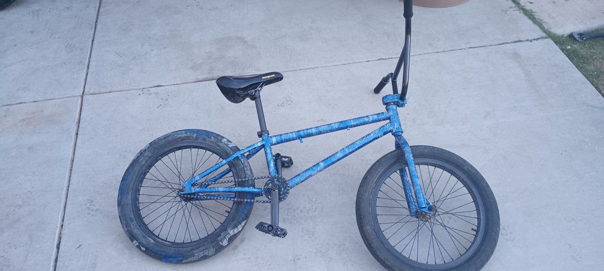 Elite BMX bike