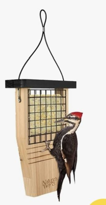 Suet Bird Feeder NEW