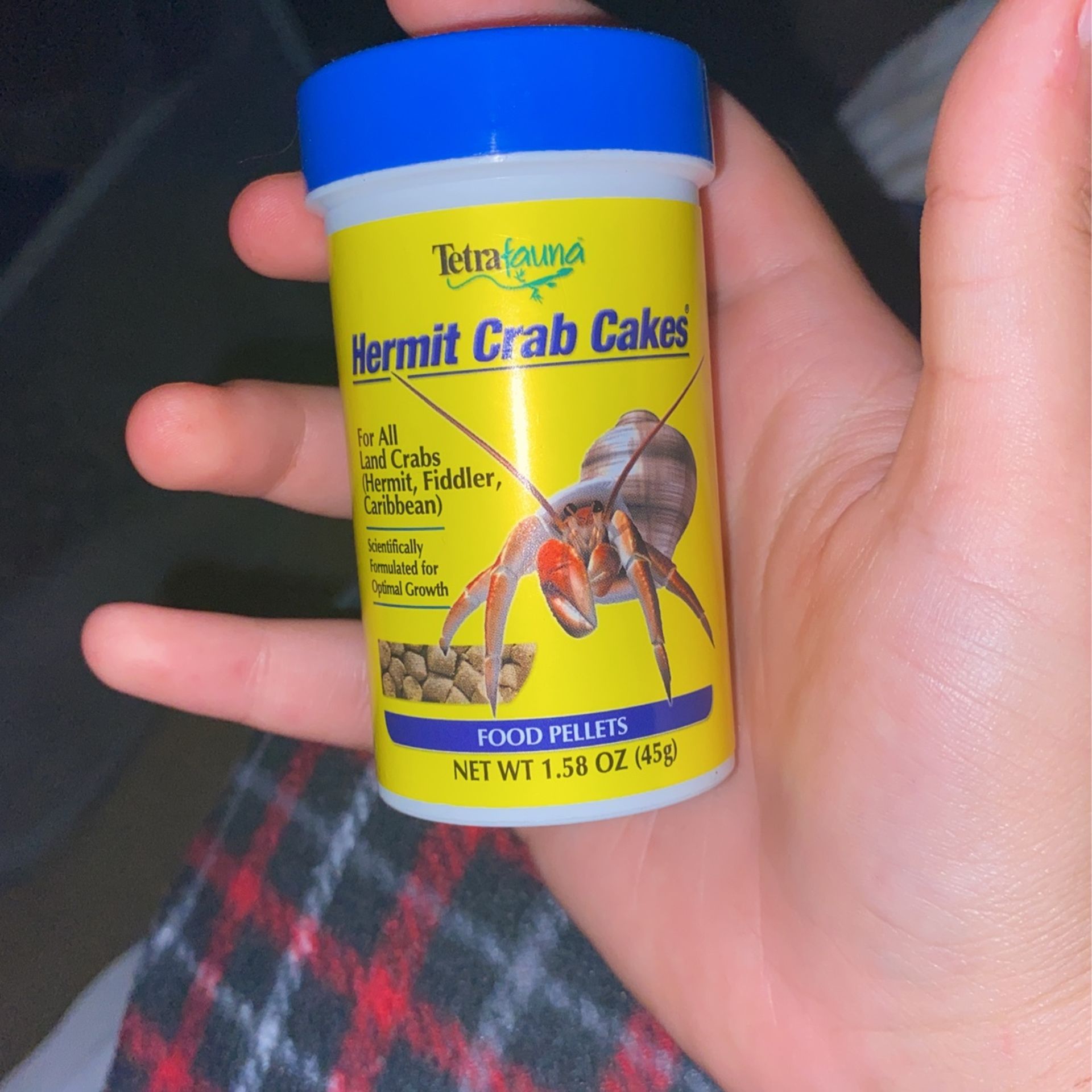 hermit crab food
