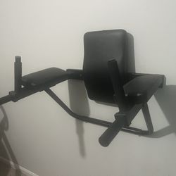 Wall Mounted Dip Station