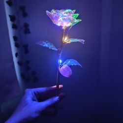 Light Up Rose 