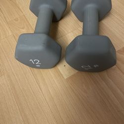 12 Lb Dumbbells 