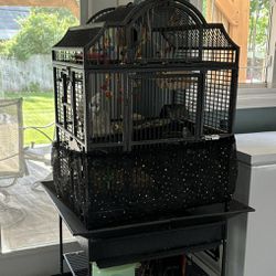 King Size Bird Cage