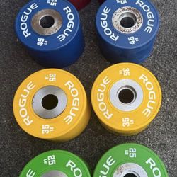 Rogue Fitness Olympic Dumbbell Bumper Weight Plates