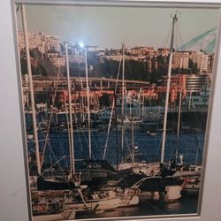 Brand New Seattle Boat Lake Photograph