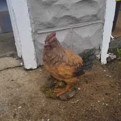 Chicken 