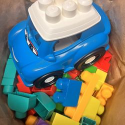 Jumbo legos With Cat