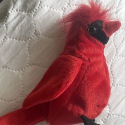 Ty Cardinal Born June 10, 1998