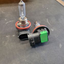 H11 halogen bulbs