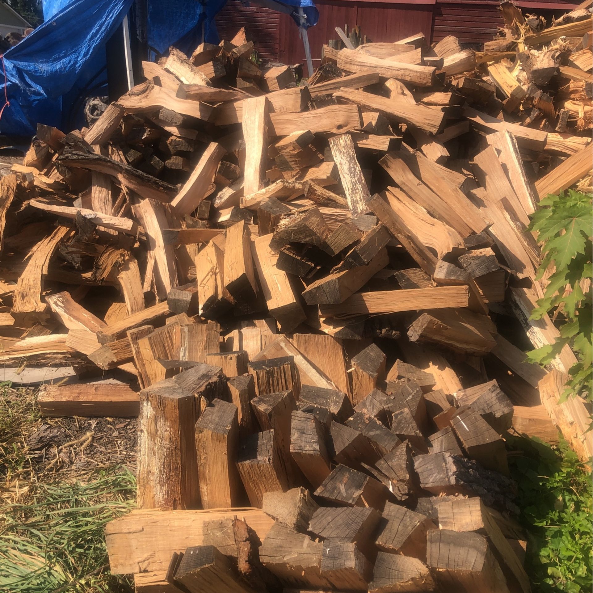 Firewood