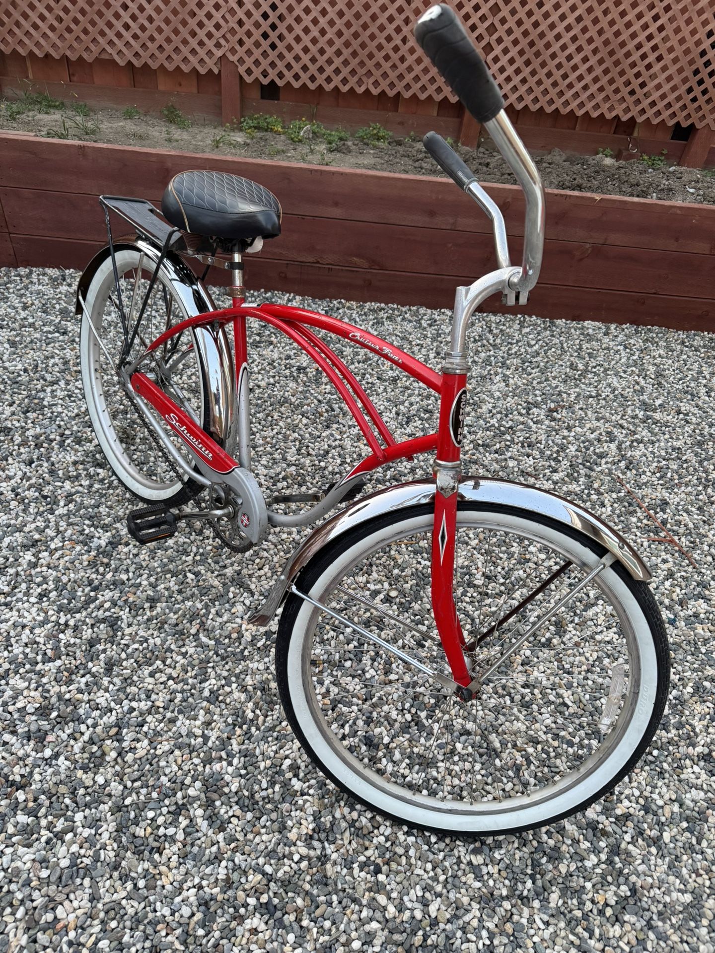 Schwinn Cruiser