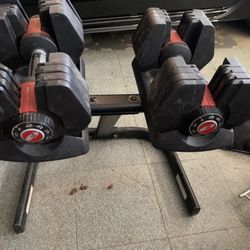Bowflex SelectTech Dumbbells with Stand for Sale in Moreno Valley