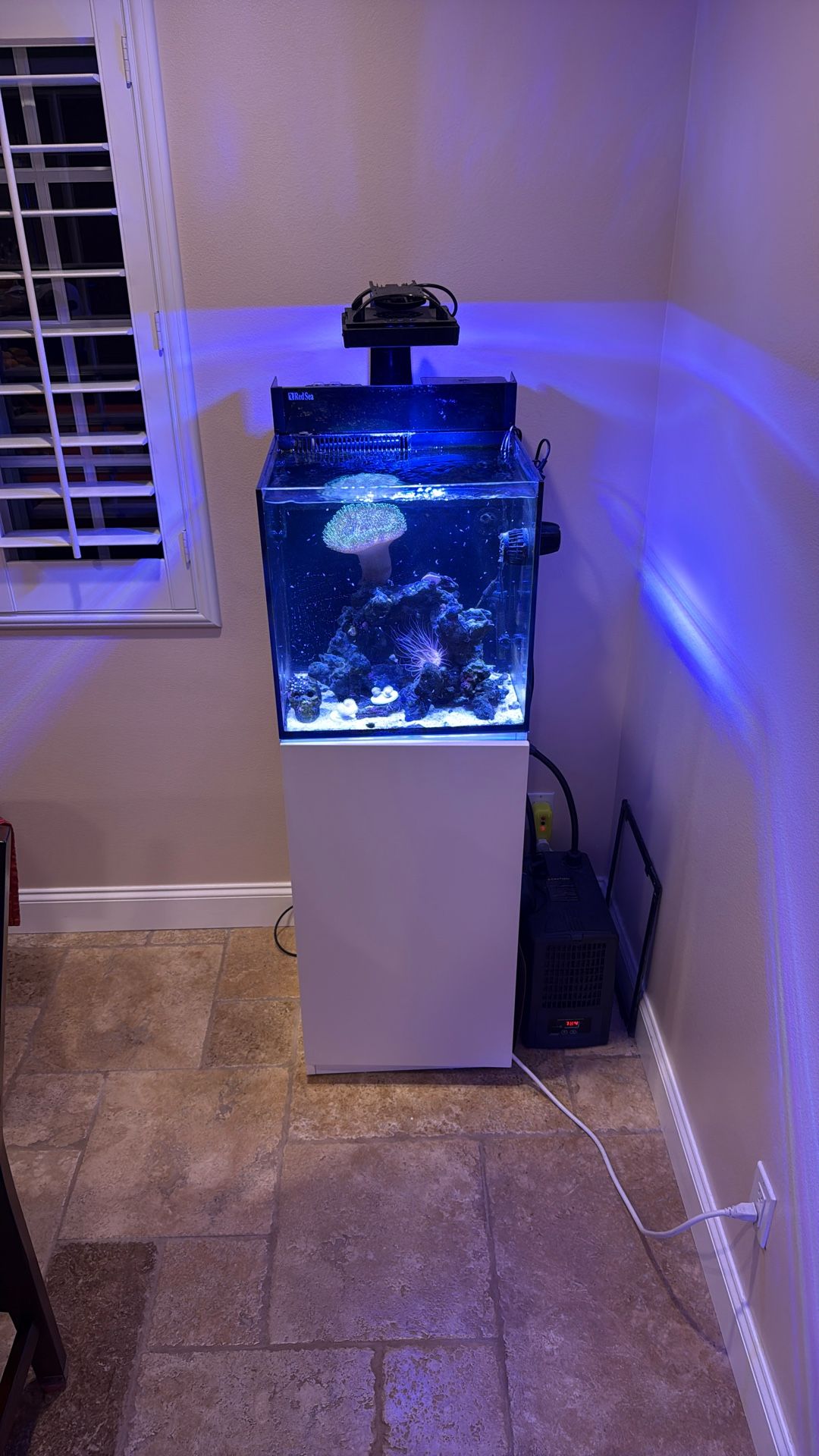 Red Sea Nano Tank 20 Gallon