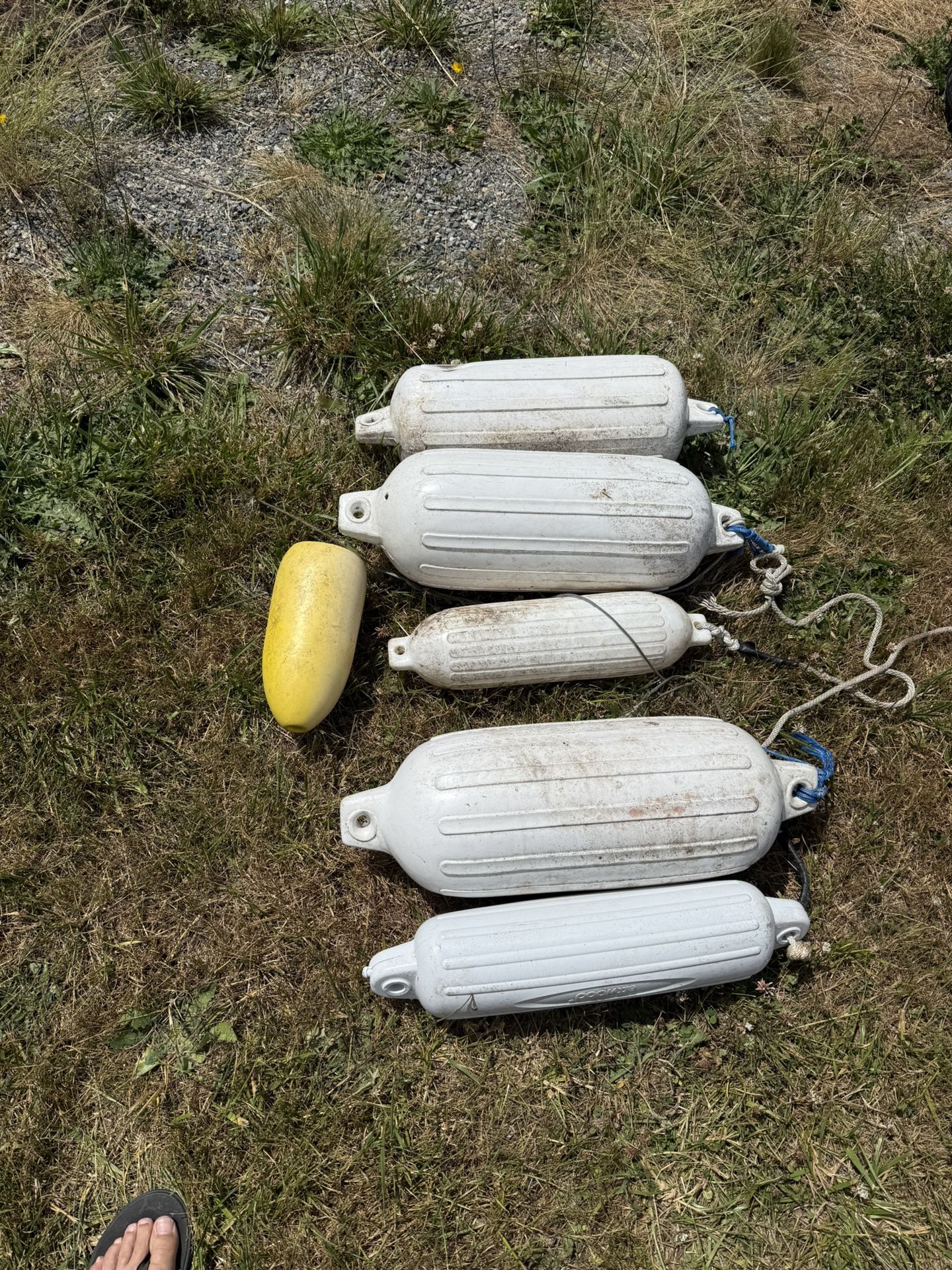 Boat Bouys