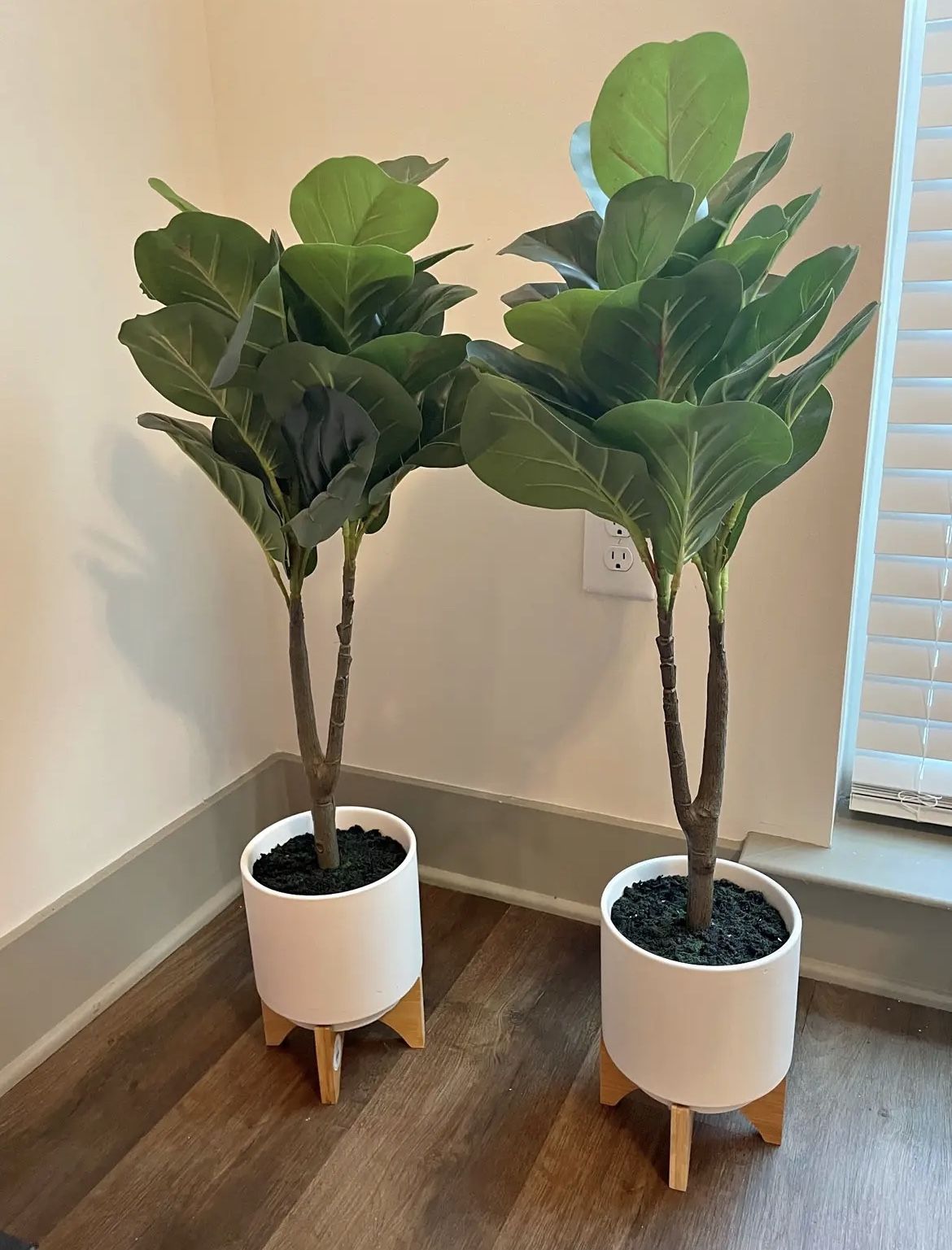 Faux Plant With Pot Set Of 2
