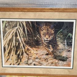 Into The Clearing Jaguar By John Seerey Lester