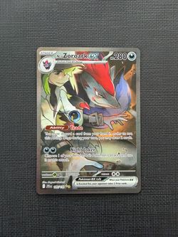 N’s Zoroark ex Journey Together SAR