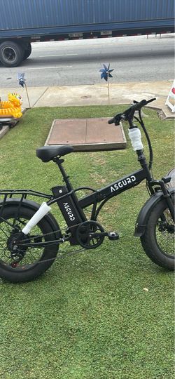 ASGURD electric bike