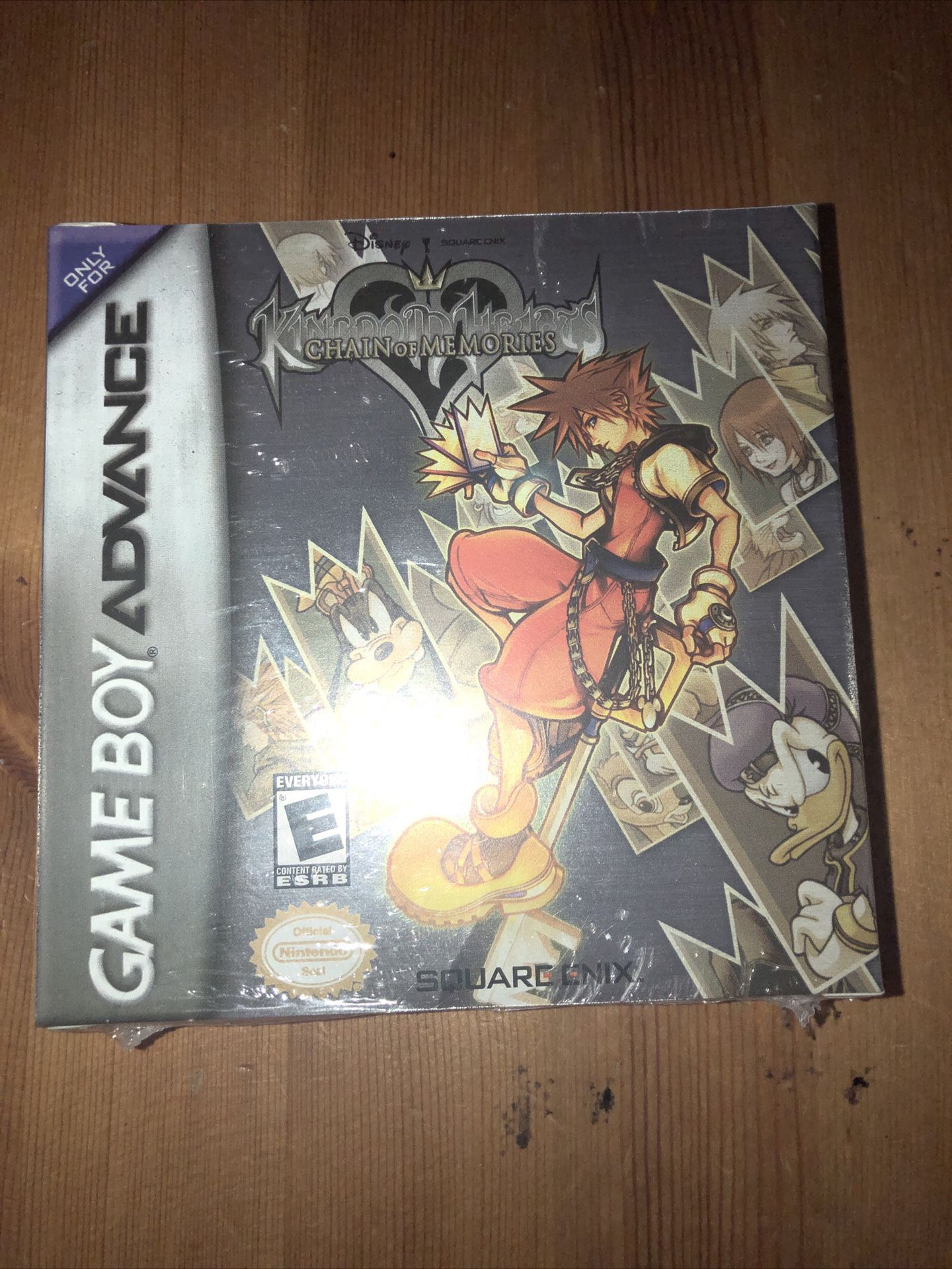 Game Boy Advance Kingdom Hearts