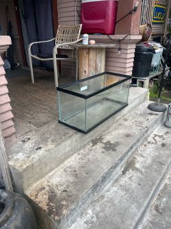 Fish tank