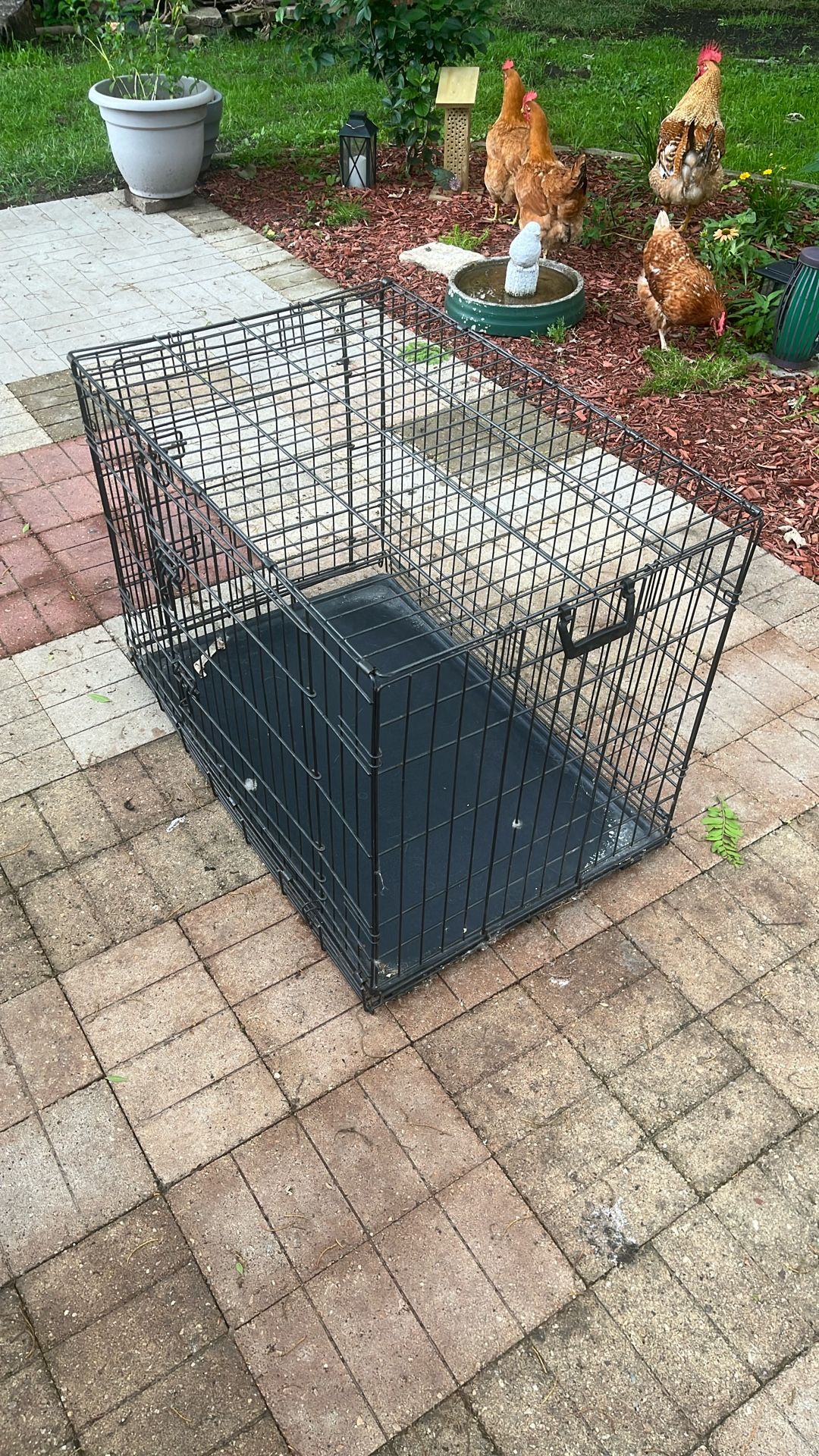Large Dog Crate 