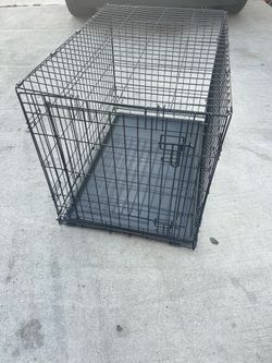 Dog Kennel